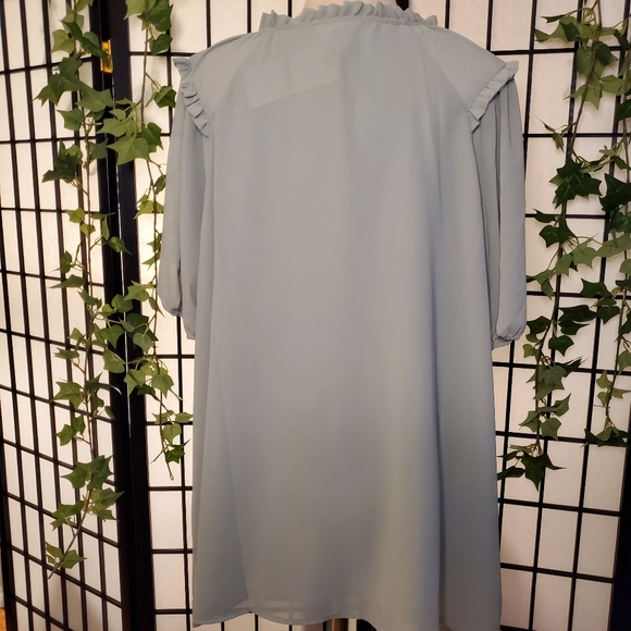 Pleione Short Sleeve Sheer Blouse Color Sage Size 2X - Picture 4 of 6